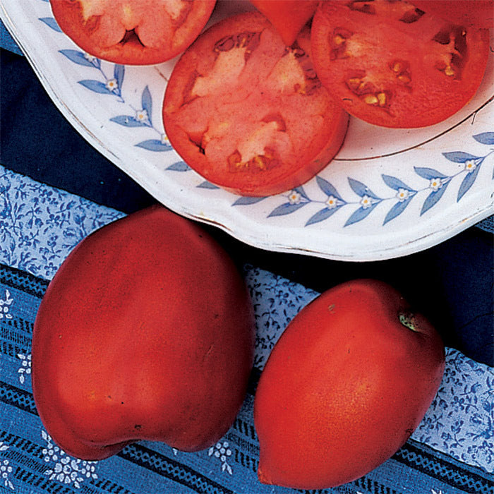  Amish Paste Tomato