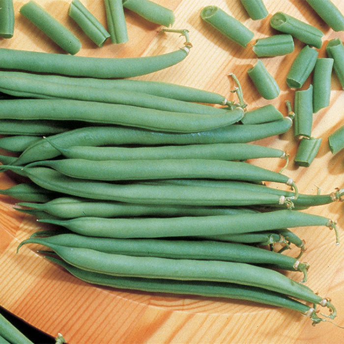  Top Crop Bush Bean