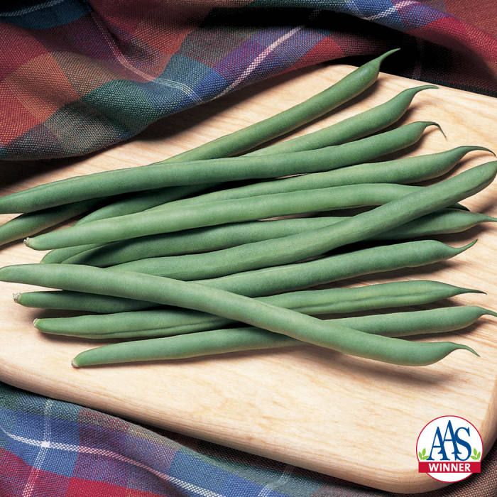  Kentucky Blue Pole Bean
