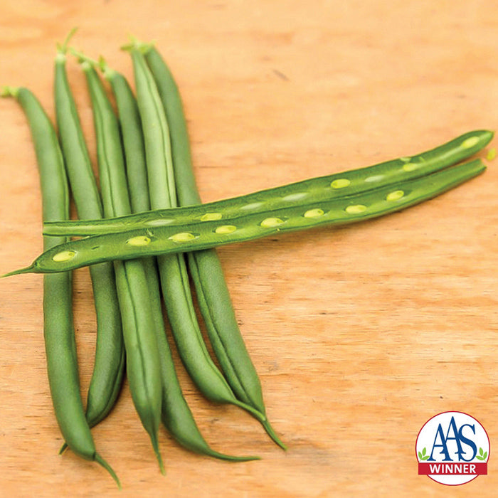  Seychelles Pole Bean