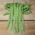  Hilda Romano Pole Bean