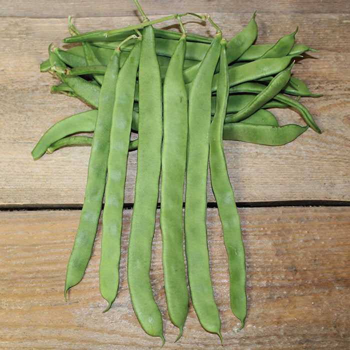  Hilda Romano Pole Bean