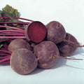  Boro Hybrid Beet