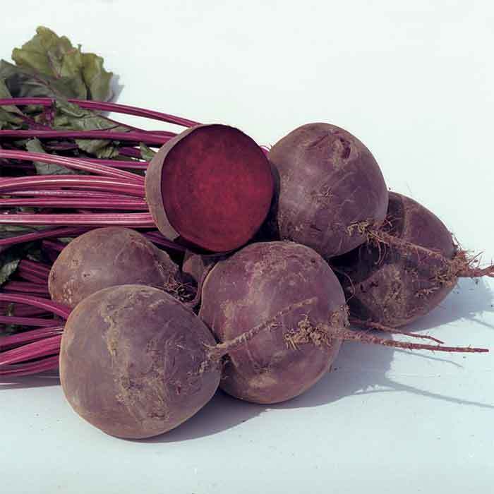  Boro Hybrid Beet