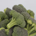  Monflor Broccoli