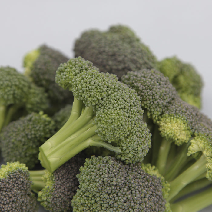  Monflor Broccoli