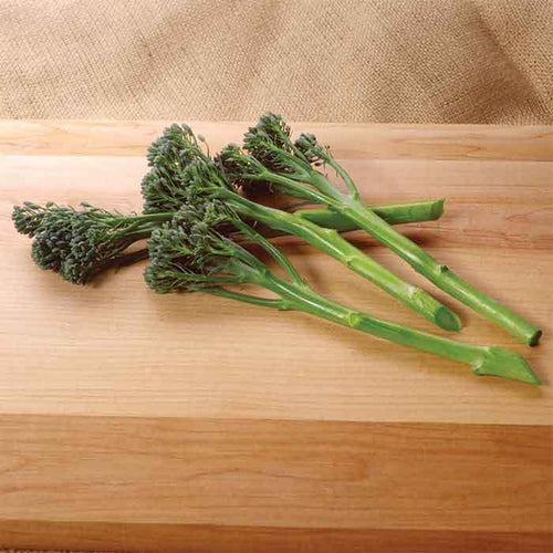  Aspabroc Hybrid Baby Broccoli