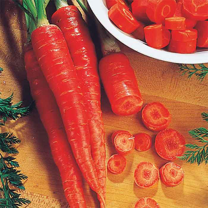  Atomic Red Carrot