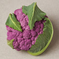  DePurple Hybrid Cauliflower