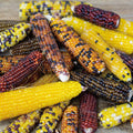  Miniature Rainbow Popcorn