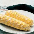  Delectable Hybrid Sweet Corn