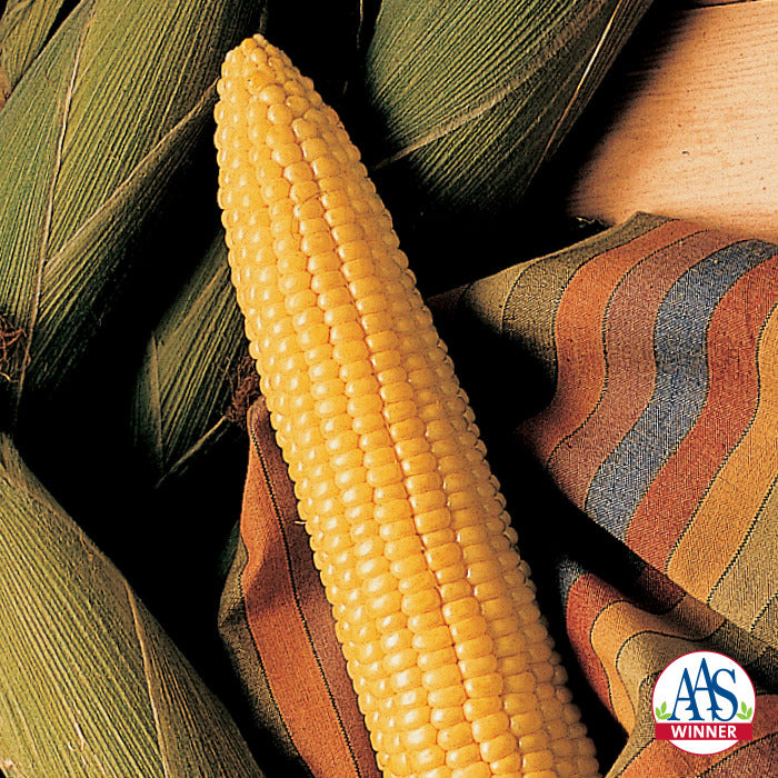  Honey Select Hybrid Triplesweet&reg; Sweet Corn