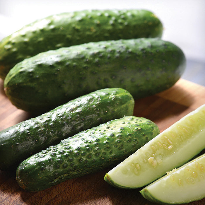  Gherking Hybrid Cucumber