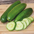  Muncher Cucumber