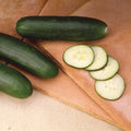  Slice More Hybrid Cucumber