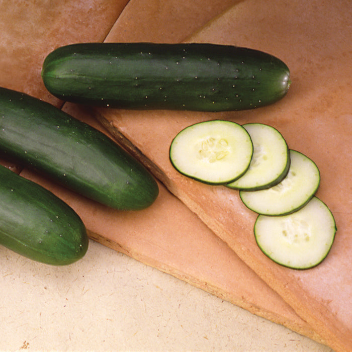  Slice More Hybrid Cucumber