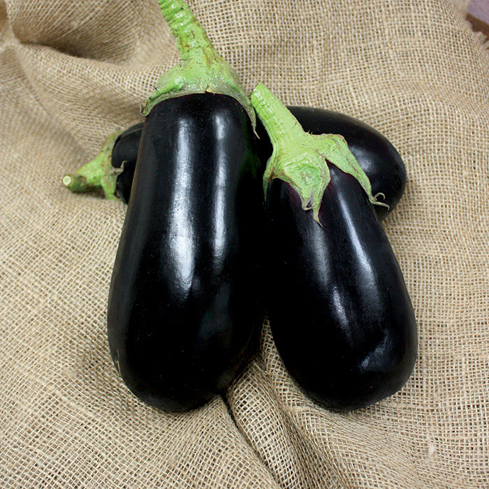  Nadia Hybrid Eggplant