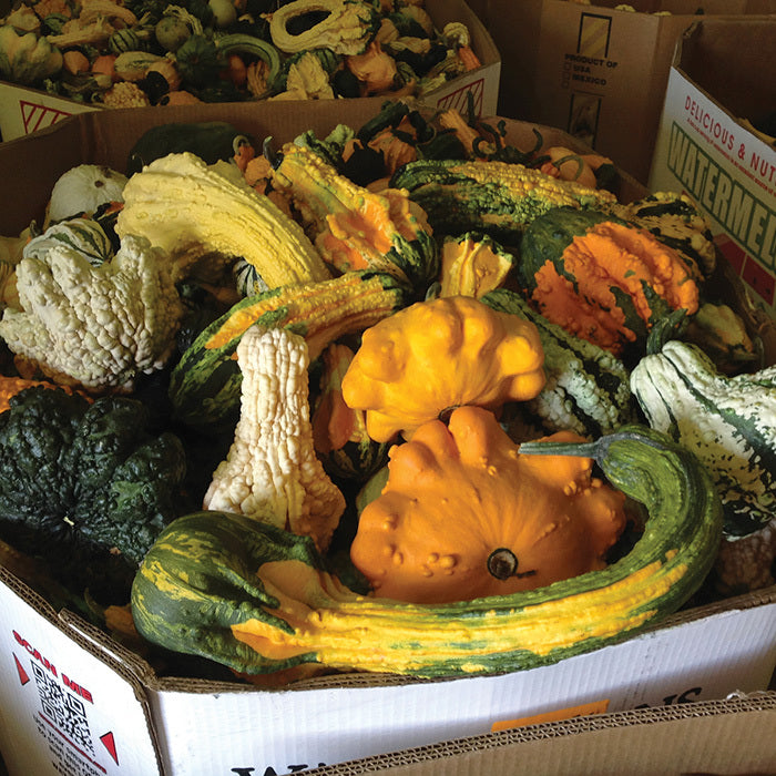  Super Freak&trade; Goonies Gourd