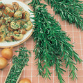  Rosemary