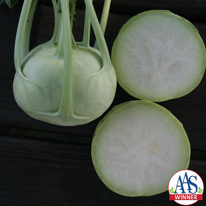  Konan Hybrid Kohlrabi