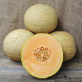  Goddess Hybrid Muskmelon