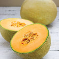 Infinite Gold Hybrid Muskmelon