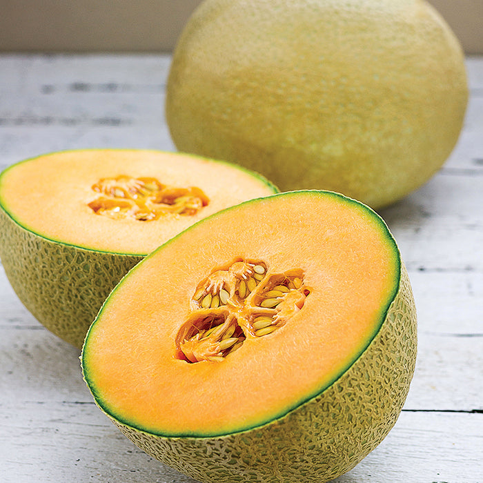  Infinite Gold Hybrid Muskmelon