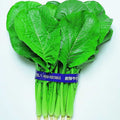  Komatsuna Mustard Spinach