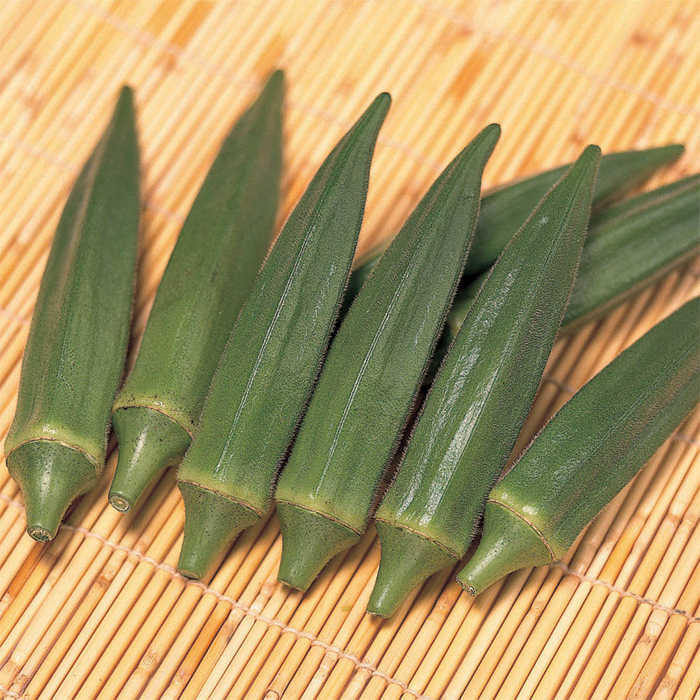  Jambalaya Hybrid Okra
