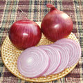  Redwing Hybrid Onion