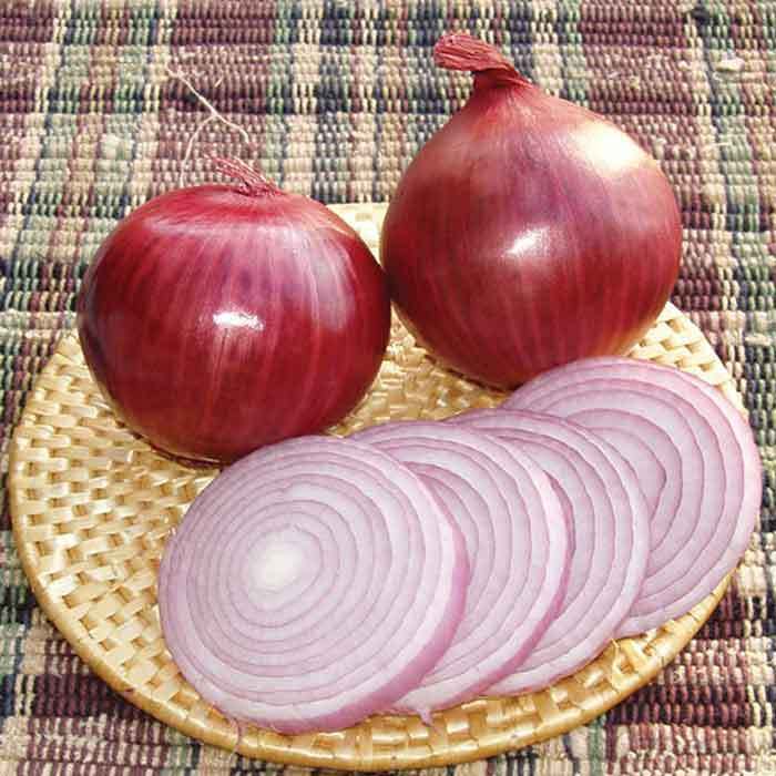  Redwing Hybrid Onion