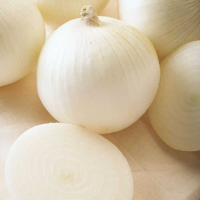 Sierra Blanca Hybrid Onion