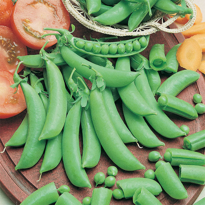  Cascadia Snap Pea