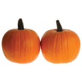  Corvette PMR Hybrid Pumpkin