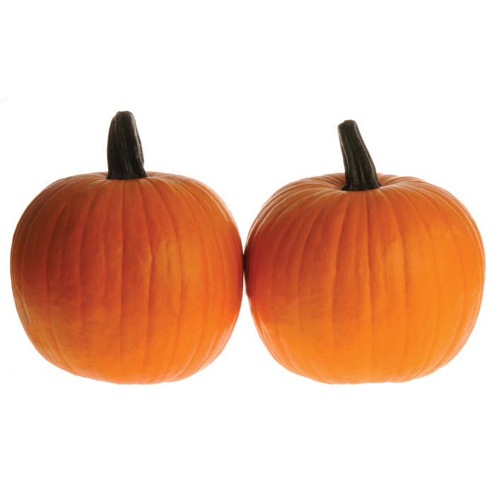  Corvette PMR Hybrid Pumpkin