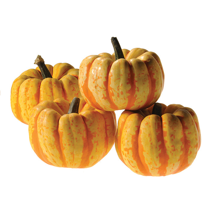  Flame Hybrid Pumpkin