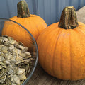  Naked Bear Hybrid Pumpkin