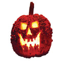  Baby Bumps Hybrid Pumpkin