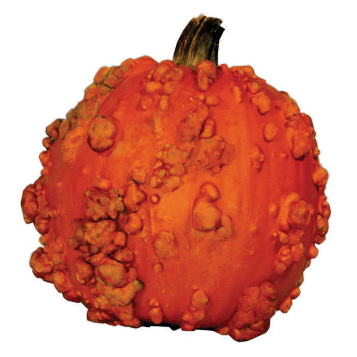  Goosebumps II Super Freak&trade; Pumpkin