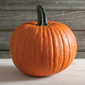 Racer Plus Hybrid Pumpkin
