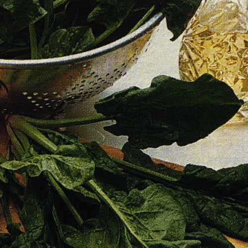  Bloomsdale Long Standing Spinach