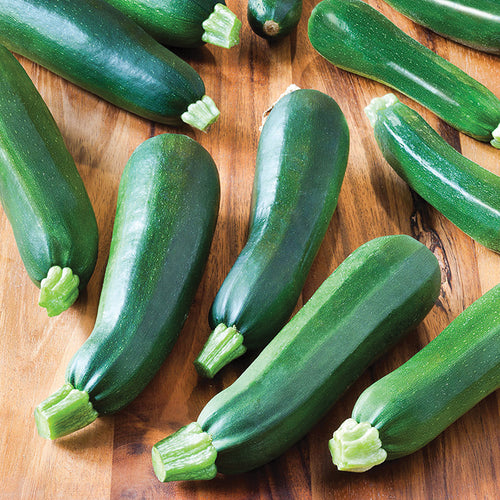  Black Beauty Zucchini Squash