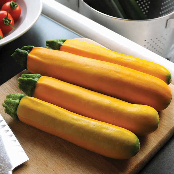  Easy Pick Gold II Hybrid Summer Squash