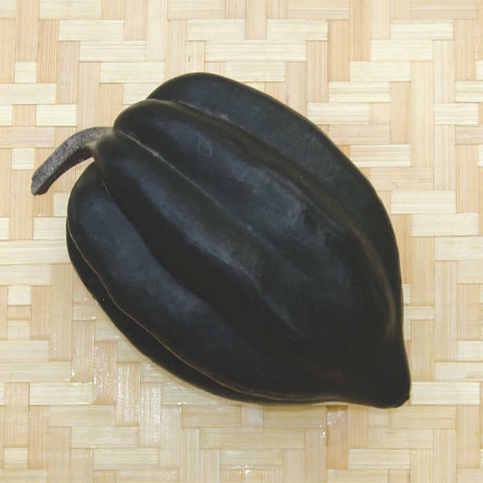  Table King Bush Acorn Squash