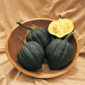  Table Treat Hybrid Acorn Winter Squash