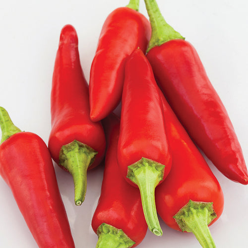  Alter Ego Hybrid Pepper