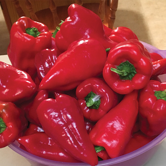  Utri Pepper