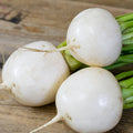  Tokyo Cross Hybrid Turnip