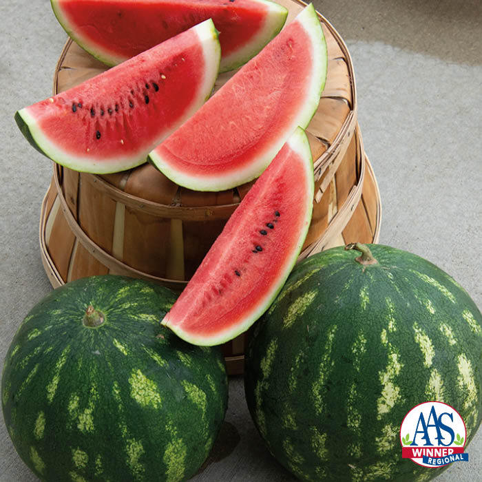  Cal Sweet Bush Watermelon