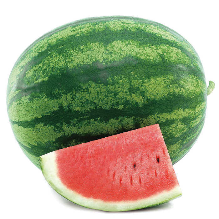  Solitaire Hybrid Seedless Watermelon